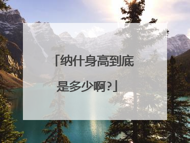 纳什身高到底是多少啊?