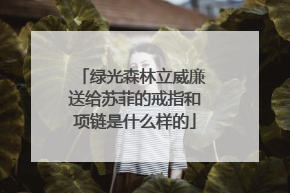 绿光森林立威廉送给苏菲的戒指和项链是什么样的