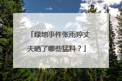 绿地事件张雨婷丈夫晒了哪些猛料？
