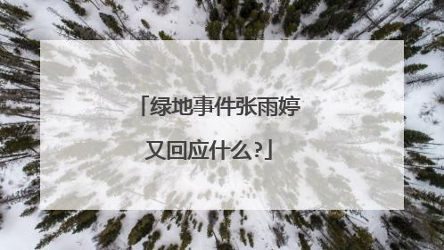 绿地事件张雨婷又回应什么?
