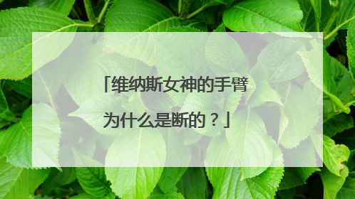 维纳斯女神的手臂为什么是断的?