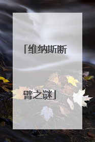 维纳斯断臂之谜