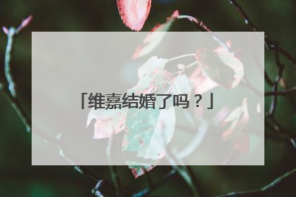 维嘉结婚了吗？