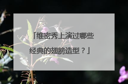 维密秀上演过哪些经典的翅膀造型？