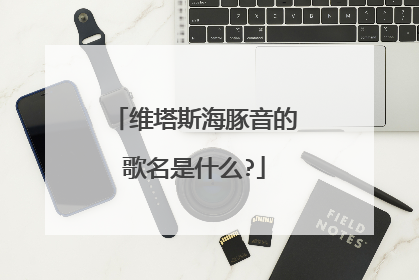 维塔斯海豚音的歌名是什么?
