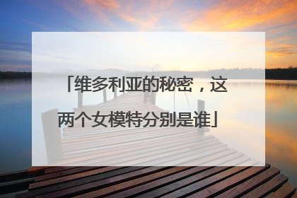 维多利亚的秘密,这两个女模特分别是谁