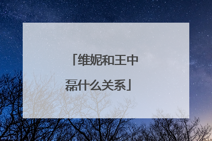 维妮和王中磊什么关系