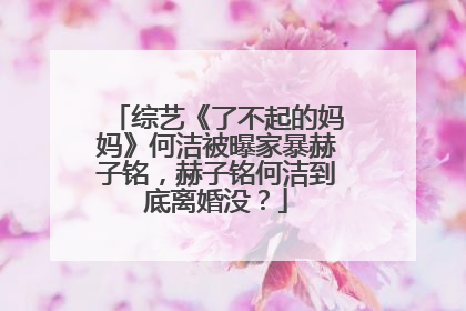 综艺《了不起的妈妈》何洁被曝家暴赫子铭,赫子铭何洁到底离婚没?