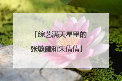 综艺满天星里的张敏健和朱倩倩