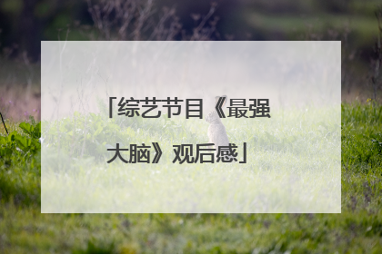 综艺节目《最强大脑》观后感