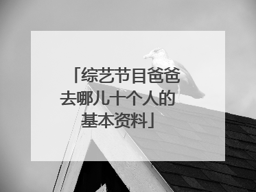 综艺节目爸爸去哪儿十个人的基本资料