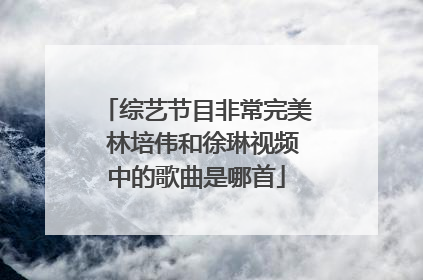 综艺节目非常完美 林培伟和徐琳视频中的歌曲是哪首