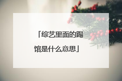 综艺里面的踢馆是什么意思