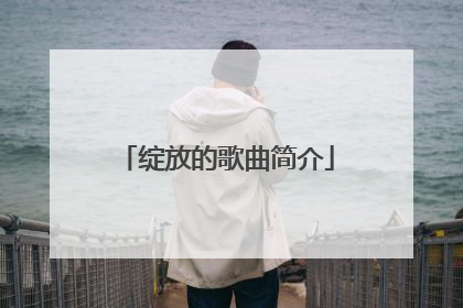 绽放的歌曲简介