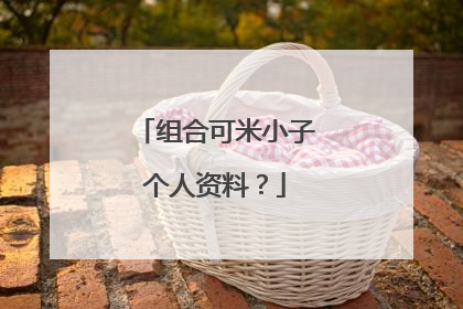 组合可米小子个人资料？
