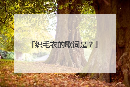 织毛衣的歌词是?