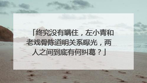 终究没有瞒住,左小青和老戏骨陈道明关系曝光,两人之间到底有何纠葛?