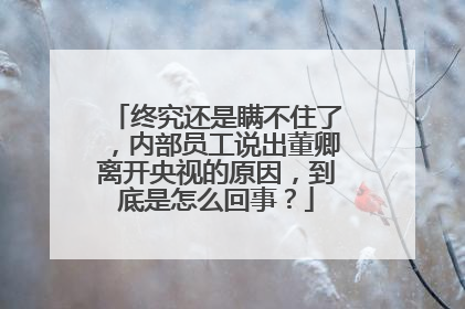 终究还是瞒不住了，内部员工说出董卿离开央视的原因，到底是怎么回事？