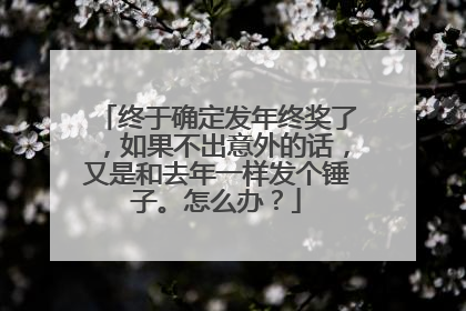 终于确定发年终奖了,如果不出意外的话,又是和去年一样发个锤子。怎么办?