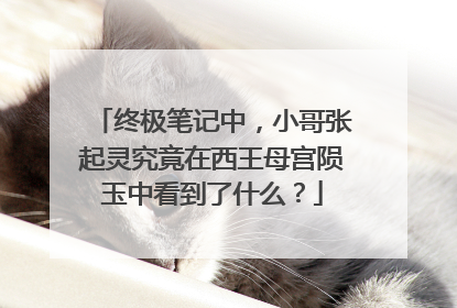 终极笔记中,小哥张起灵究竟在西王母宫陨玉中看到了什么?