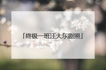 终极一班汪大东剧照