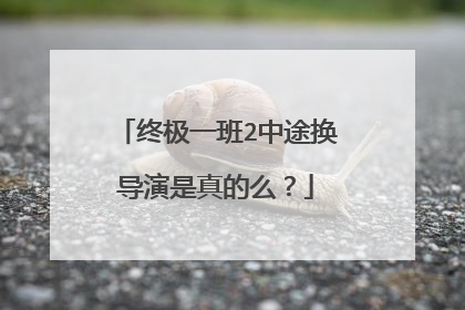 终极一班2中途换导演是真的么?