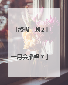 终极一班2十一月会播吗?
