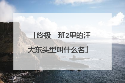 终极一班2里的汪大东头型叫什么名