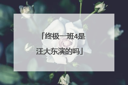 终极一班4是汪大东演的吗