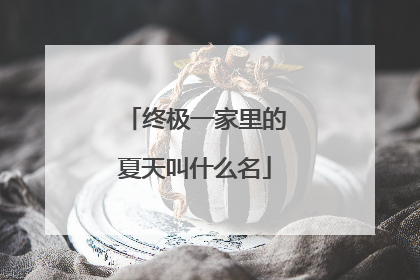 终极一家里的夏天叫什么名