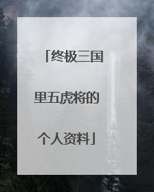 终极三国里五虎将的个人资料