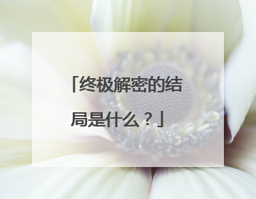 终极解密的结局是什么？