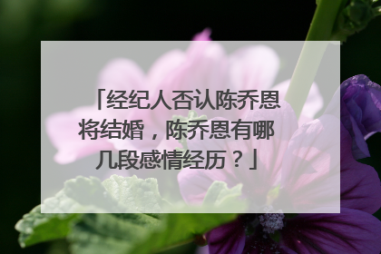 经纪人否认陈乔恩将结婚,陈乔恩有哪几段感情经历?