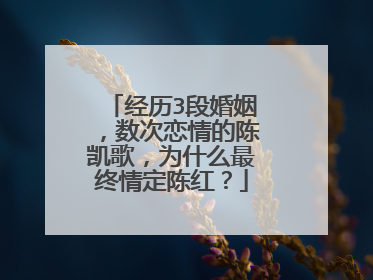 经历3段婚姻,数次恋情的陈凯歌,为什么最终情定陈红?