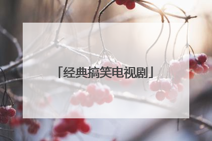 经典搞笑电视剧