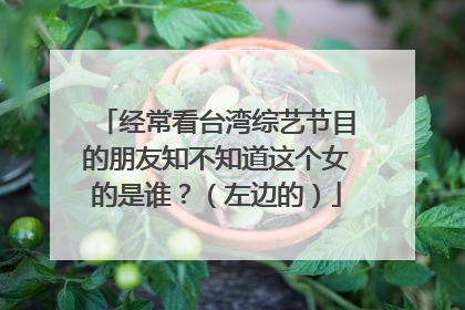 经常看台湾综艺节目的朋友知不知道这个女的是谁?(左边的)