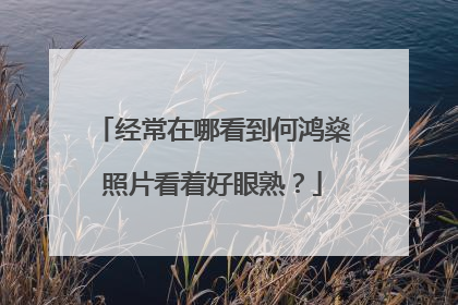 经常在哪看到何鸿燊照片看着好眼熟？