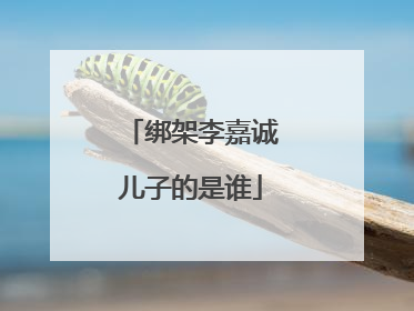 绑架李嘉诚儿子的是谁