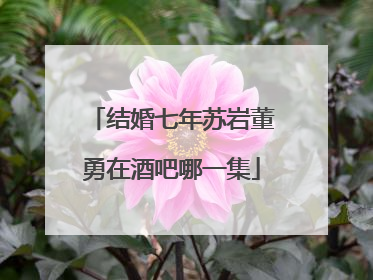 结婚七年苏岩董勇在酒吧哪一集