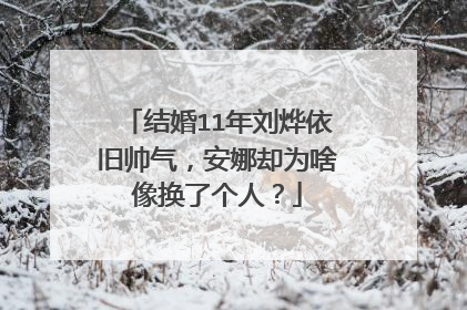 结婚11年刘烨依旧帅气,安娜却为啥像换了个人?
