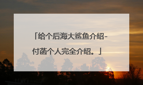 给个后海大鲨鱼介绍-付菡个人完全介绍。