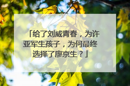 给了刘威青春，为许亚军生孩子，为何最终选择了廖京生？