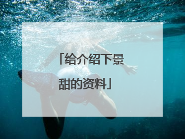 给介绍下景甜的资料