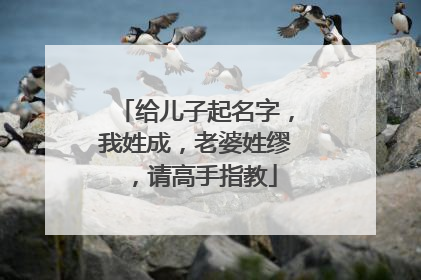 给儿子起名字,我姓成,老婆姓缪,请高手指教