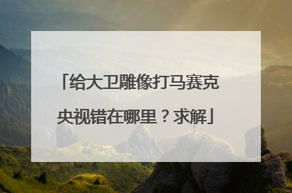 给大卫雕像打马赛克 央视错在哪里？求解