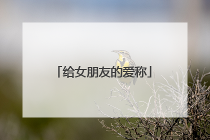 给女朋友的爱称