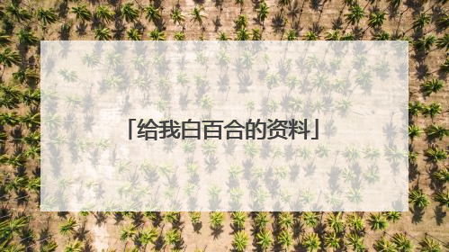 给我白百合的资料