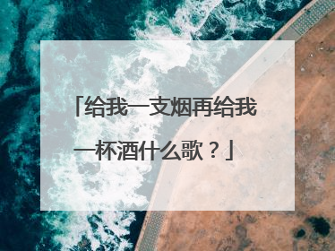 给我一支烟再给我一杯酒什么歌？