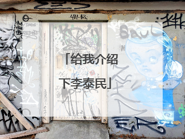 给我介绍下李泰民