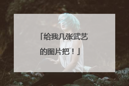 给我几张武艺的图片把！